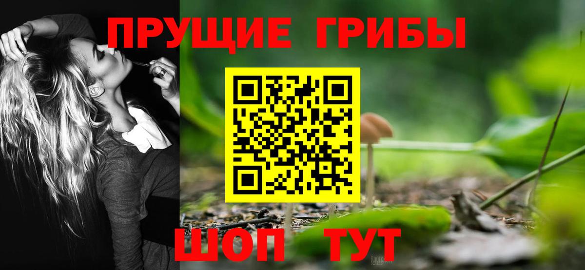 Псилоцибиновые грибы ЛСД Владивосток
