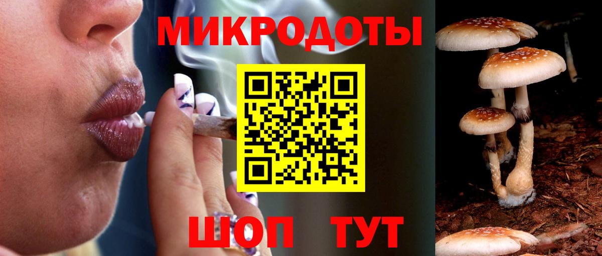 Владивосток  Псилоцибиновые грибы Psilocybe  Галлюциногенные грибы Cubensis  Вход с VPN 